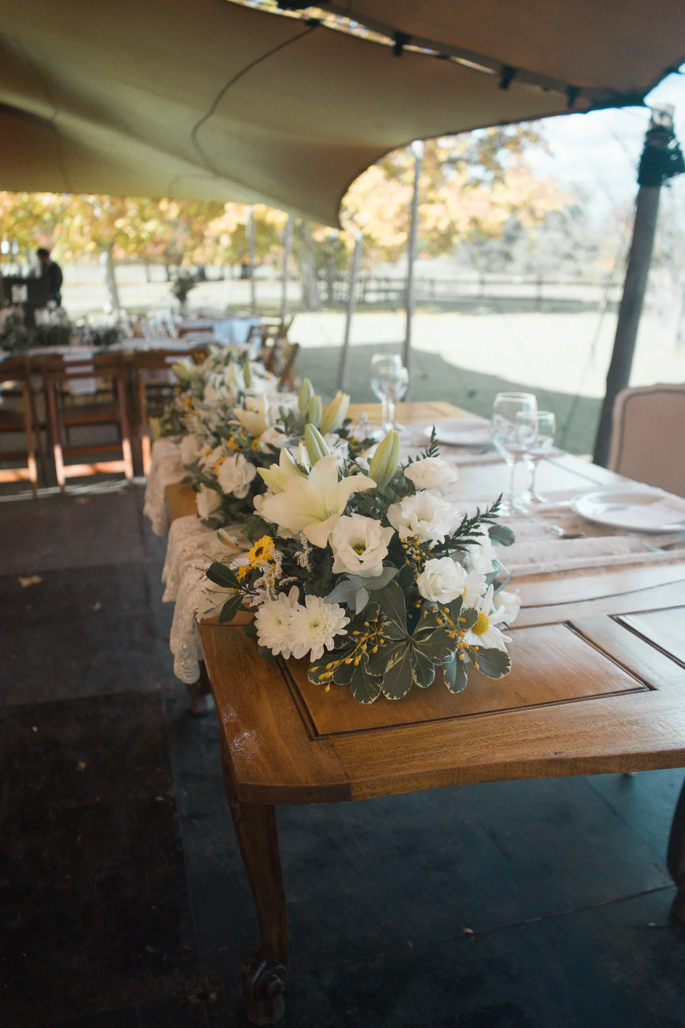 Invitados disfrutando casamiento en el campo