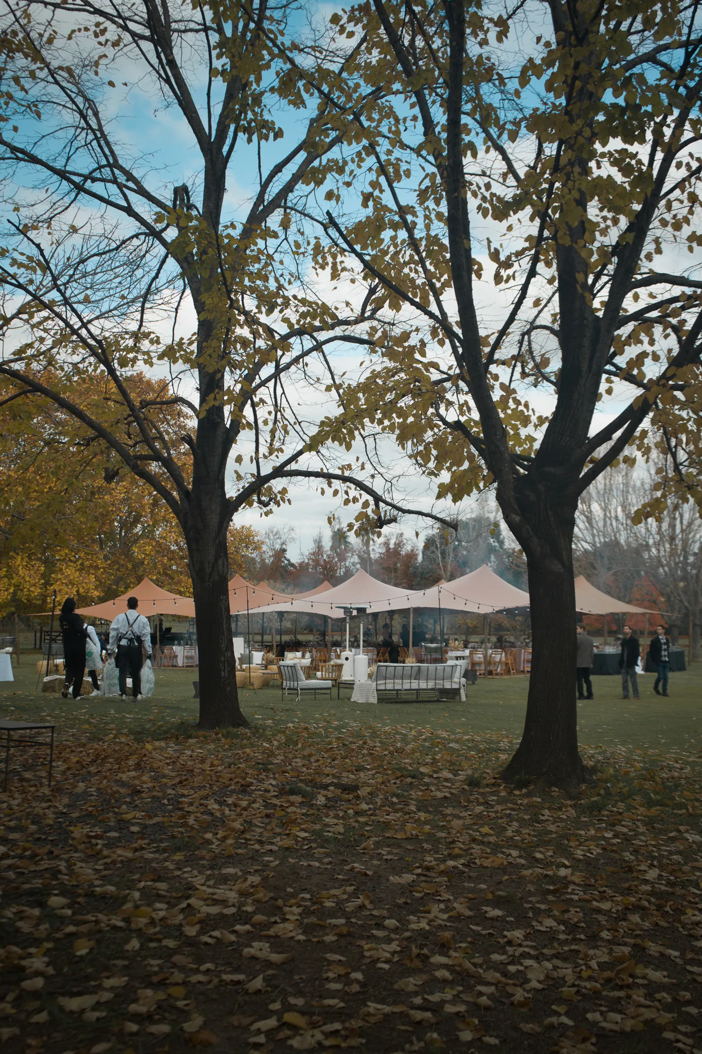 Brindis en casamiento al aire libre Agropasion