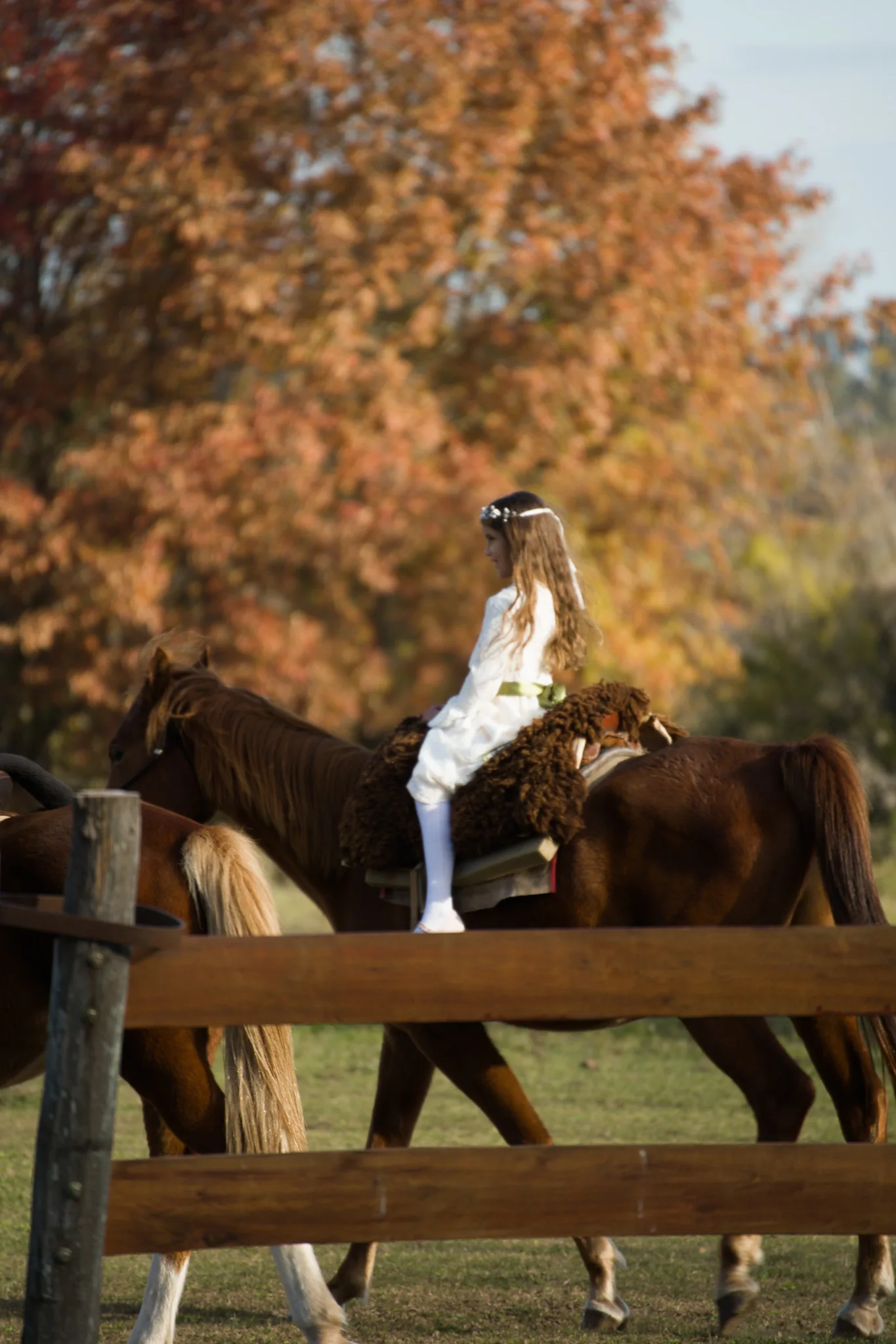Detalles de boda en predio campo Agropasion